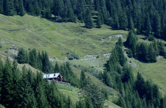 Zell am See: Schützingalm