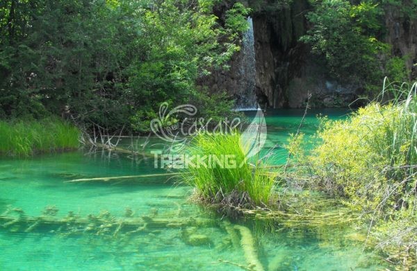 Rastovaca Parco Laghi Di Plitvice 4