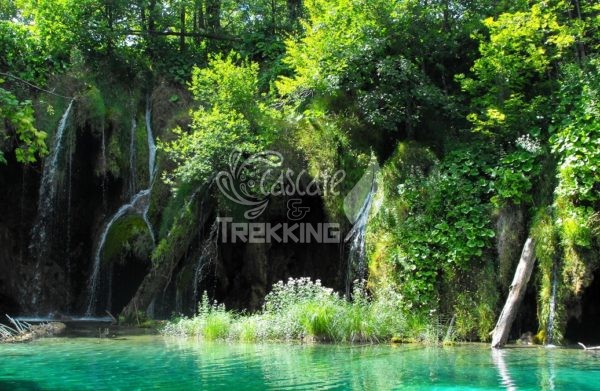 Rastovaca Parco Laghi Di Plitvice 5