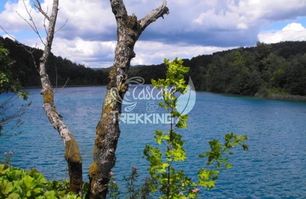 Rastovaca Parco Laghi Di Plitvice 6