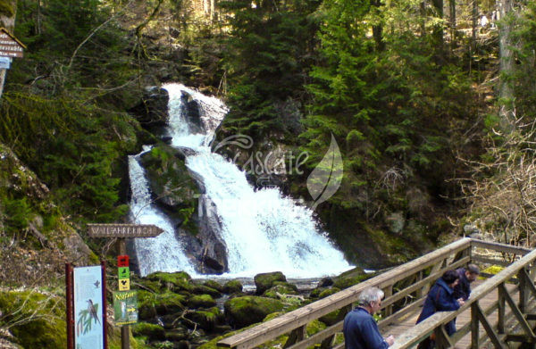 Triberg Cascate 2