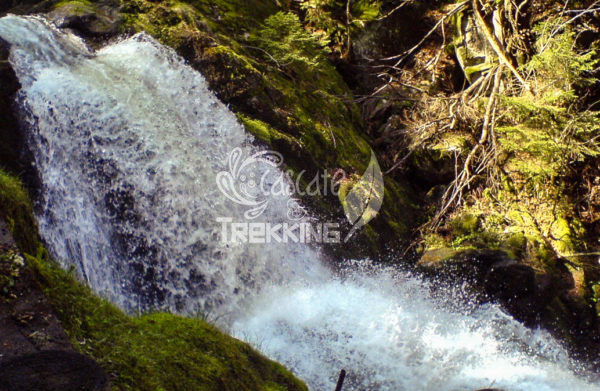 Triberg Cascate 4
