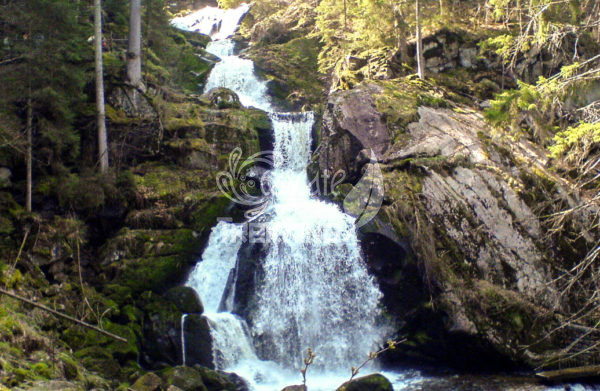 Triberg Cascate 5