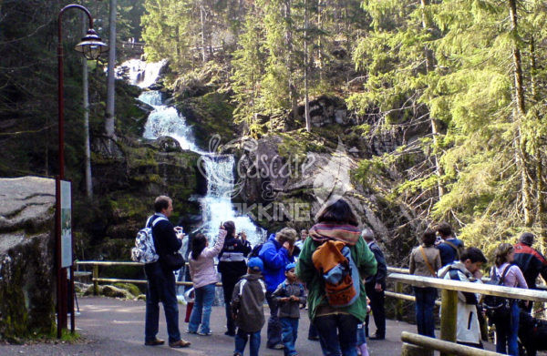 Triberg Cascate 6