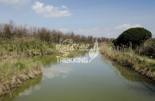 Codigoro Trekking Oasi Di Cannevie 2
