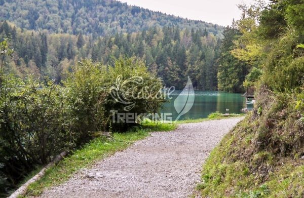 Tarvisio Trekking Laghi Di Fusine 3