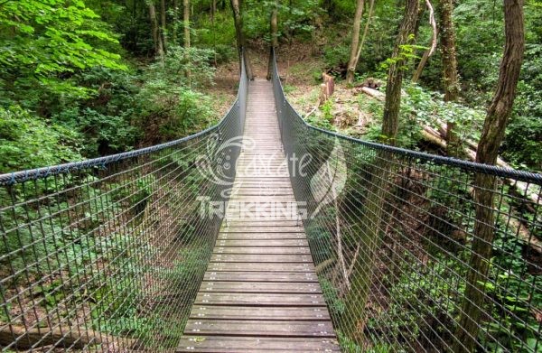 Como Ponte Tibetano Spina Verde 2