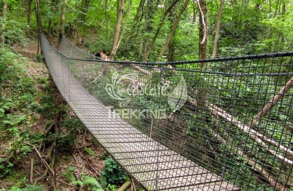 Como Ponte Tibetano Spina Verde 3