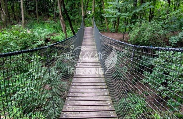 Como Ponte Tibetano Spina Verde 5