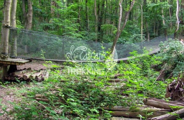 Como Ponte Tibetano Spina Verde 6