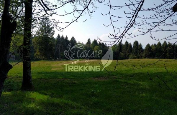 Trekking Brinzio Passo Valicc Monte Martica 1