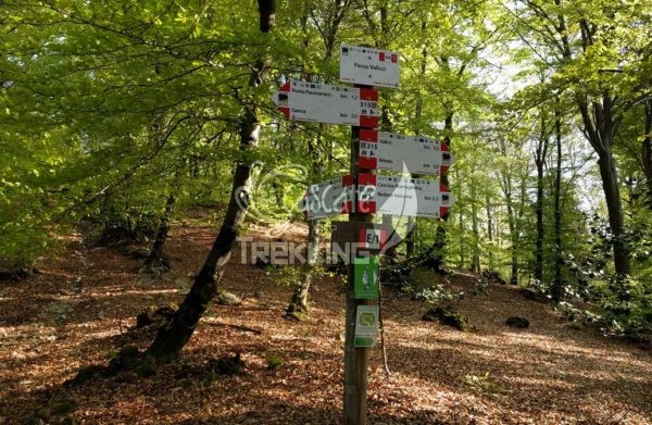 Trekking Brinzio Passo Valicc Monte Martica 3