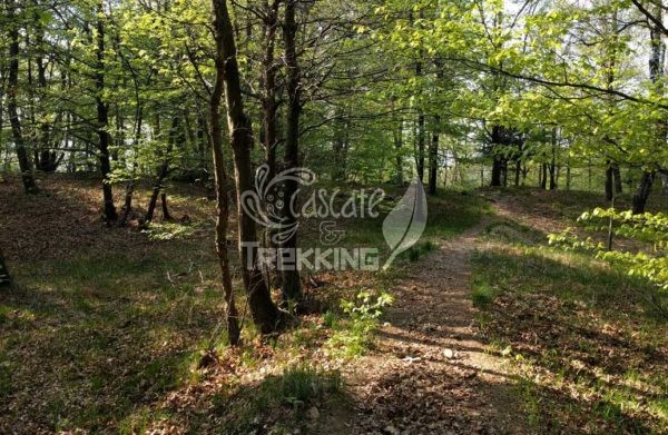Trekking Brinzio Passo Valicc Monte Martica 4