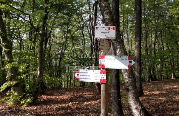 Trekking Brinzio Passo Valicc Monte Martica 5
