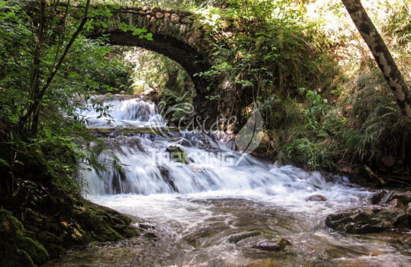 Cuasso Al Monte Cascate Cavallizza 6