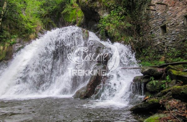 Dumenza Cascata Del Rio Colmegnino 5