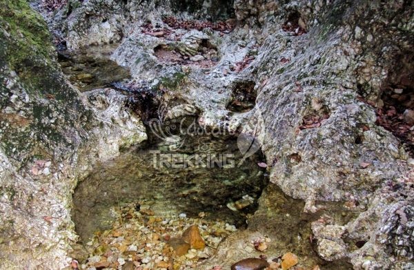 Induno Olona Canyon Della Valfredda 5