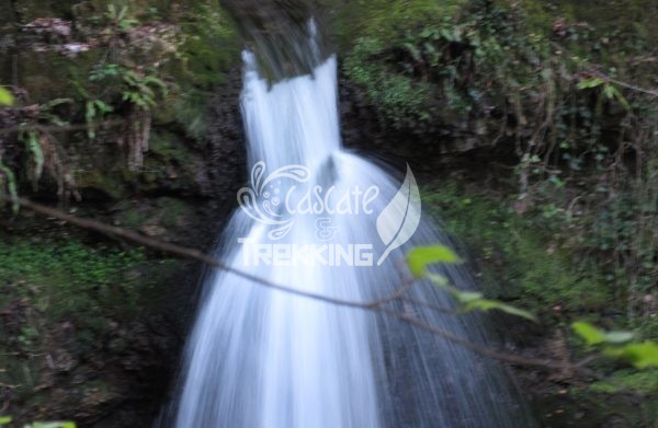 Masciago Primo Cascata Rio Casc 3