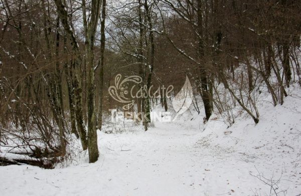 Varese Rasa Trekking Laghetto Di Brinzio 3