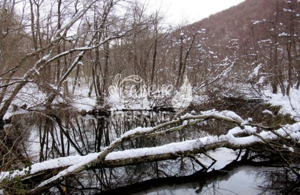 Varese Rasa Trekking Laghetto Di Brinzio 4