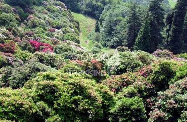 Pollone Trekking Parco Burcina 1