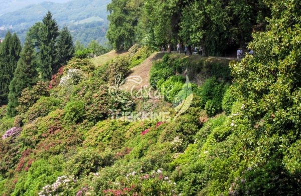 Pollone Trekking Parco Burcina 2