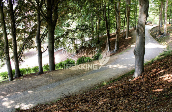 Pollone Trekking Parco Burcina 4