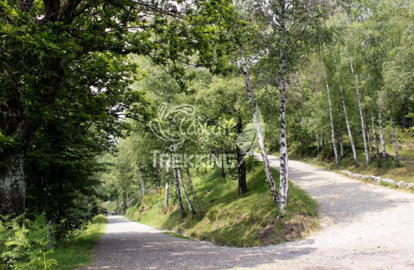 Pollone Trekking Parco Burcina 5