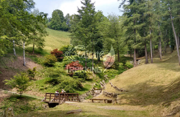 Pollone Trekking Parco Burcina 6