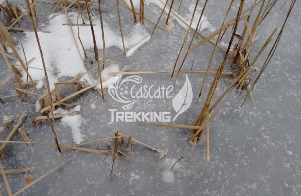 Madruzzo Trekking Lago Di Lagolo 2