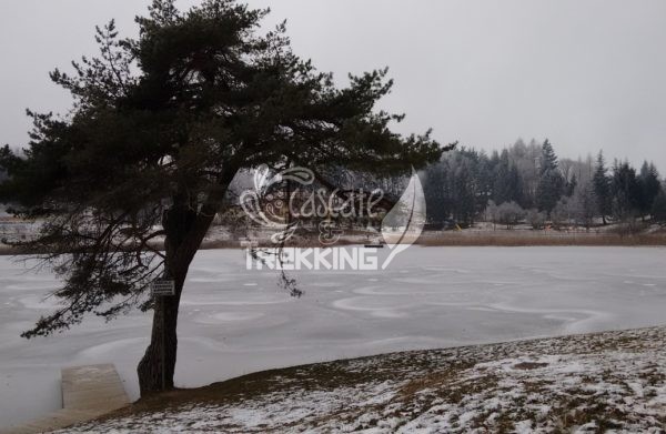 Madruzzo Trekking Lago Di Lagolo 4