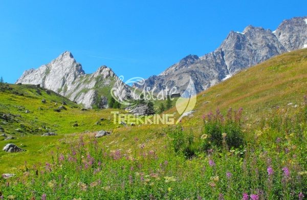 Courmayeur Trekking Val Veny 4