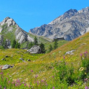 Courmayeur: Val Veny