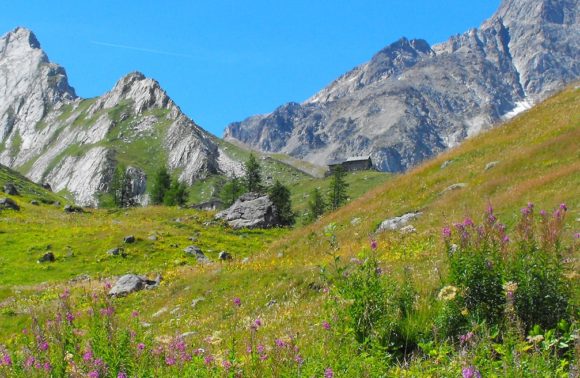 Courmayeur: Val Veny