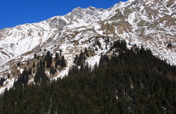 San Bernardino: Alpe Pian Doss