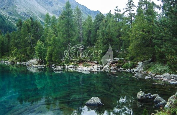 Poschiavo Trekking Lago Di Saoseo 4