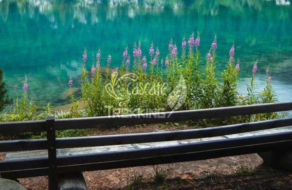 Poschiavo Trekking Lago Di Saoseo 5