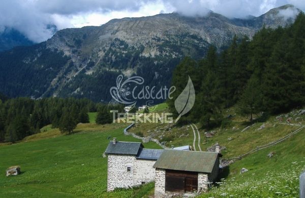 Poschiavo Trekking Lago Di Saoseo 6