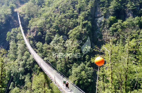 Bellinzona Monte Carasso Ponte Tibetano Carasc 1