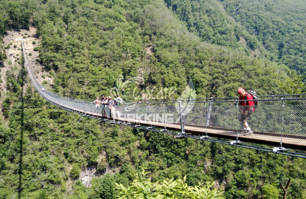 Bellinzona Monte Carasso Ponte Tibetano Carasc 2