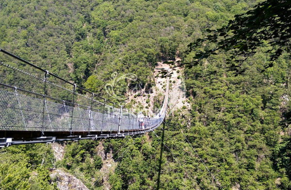 Bellinzona Monte Carasso Ponte Tibetano Carasc 4