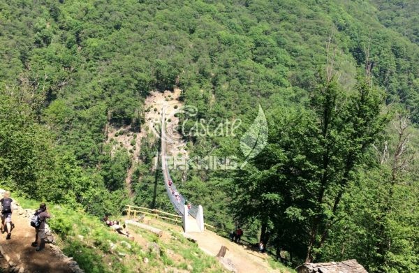 Bellinzona Monte Carasso Ponte Tibetano Carasc 6