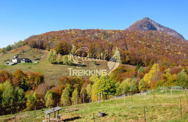 Centovalli Verdasio Trekking Monti Di Comino 1