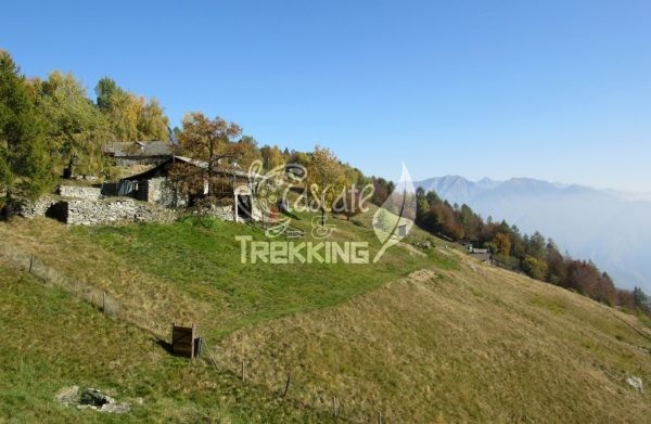 Centovalli Verdasio Trekking Monti Di Comino 5