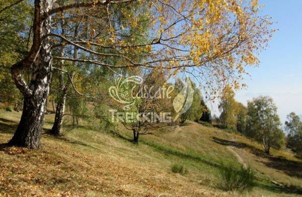 Centovalli Verdasio Trekking Monti Di Comino 6