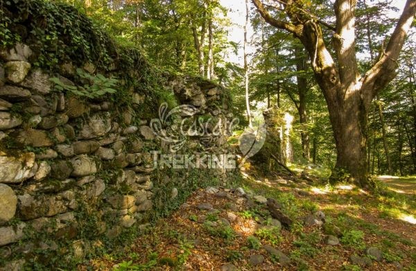 Novaggio Trekking Sentiero Delle Meraviglie 4